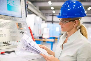 德国人为何甘愿深耕技工岗位，直至退休？——从职业文化与信息技术咨询服务视角解读